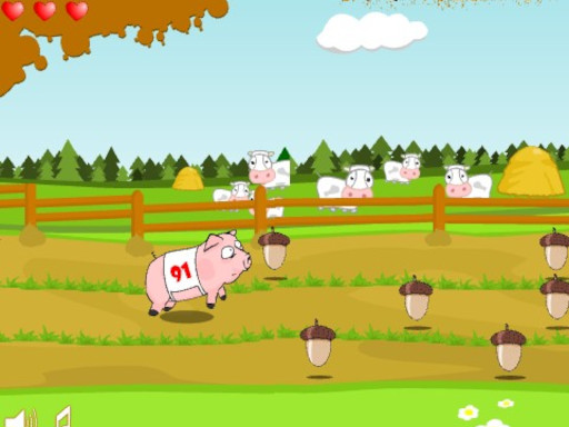 Pig Race Game